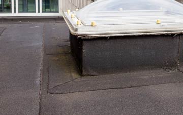 disadvantages of Trebeath flat roofs