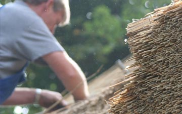 professional Trebeath thatchers